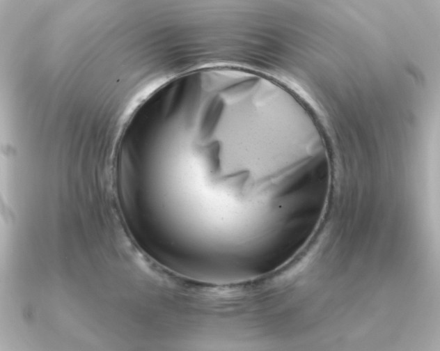 X0000090881145200708101340