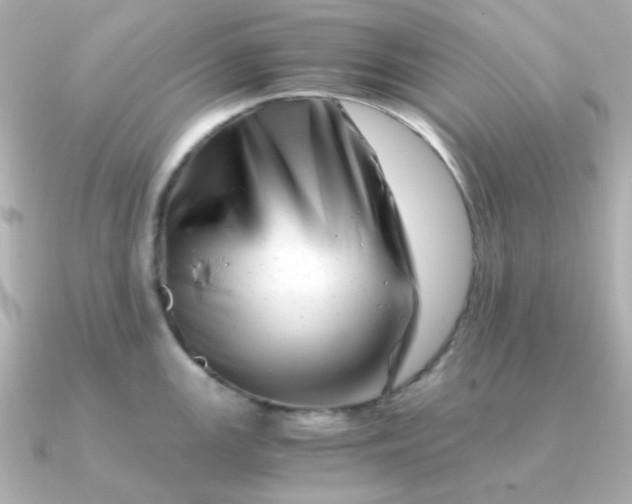 X0000090881147200708101340