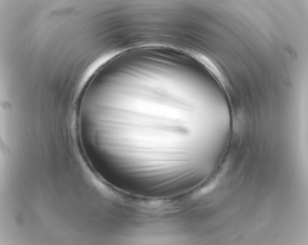 X0000090881149200708101340