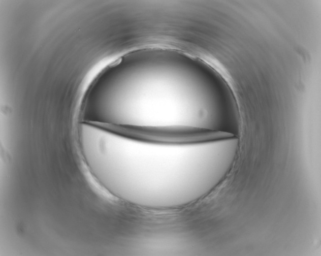 X0000090881152200708101340