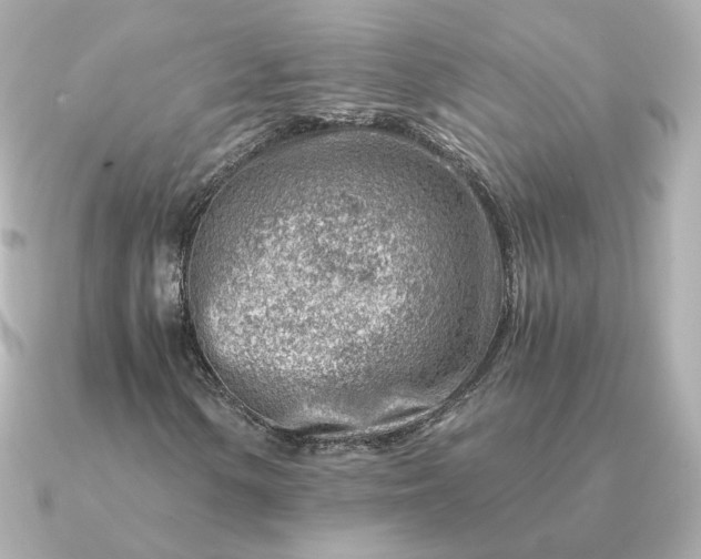 X0000090881154200708101339