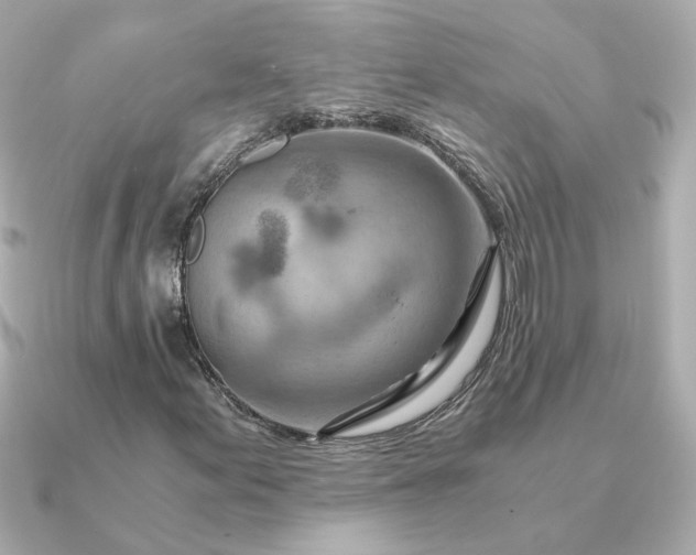 X0000090881155200708101339