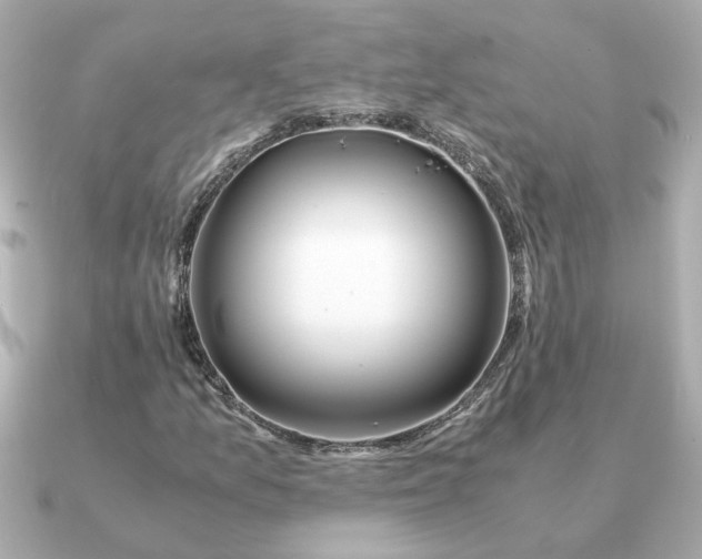 X0000090881157200708101339