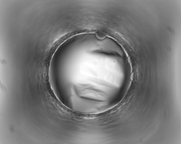 X0000090881158200708101339