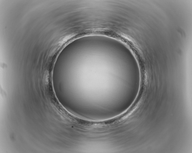 X0000090881161200708101339