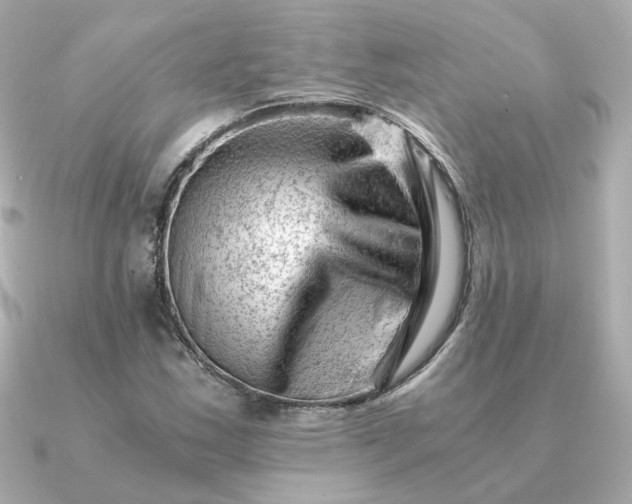 X0000090881163200708101339