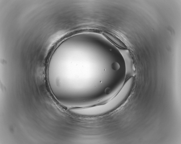 X0000090881164200708101339