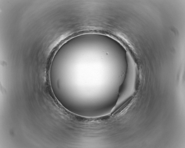 X0000090881165200708101339