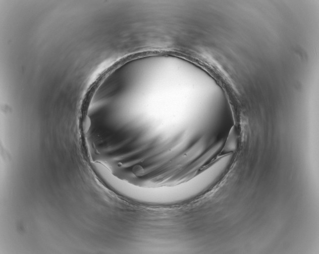 X0000090881168200708101339