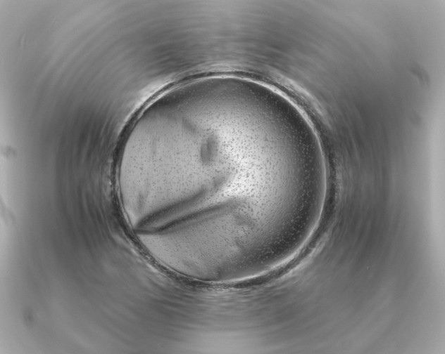 X0000090881170200708101339