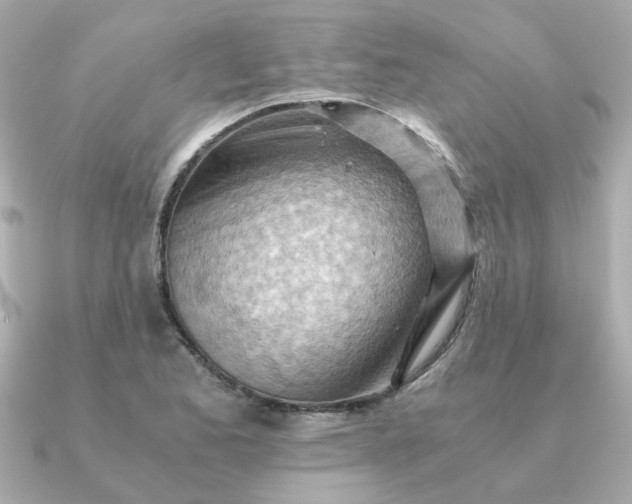 X0000090881173200708101339