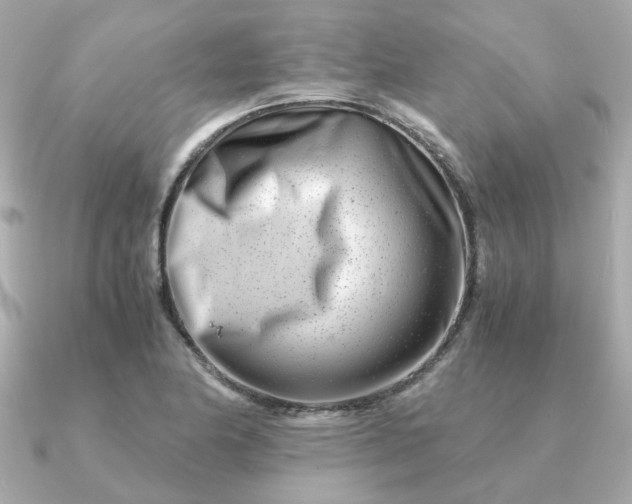 X0000090881174200708101339