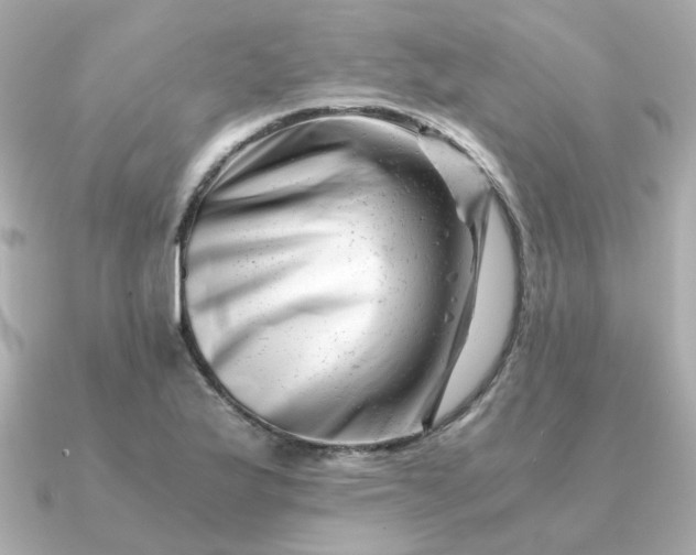 X0000090881175200708101339