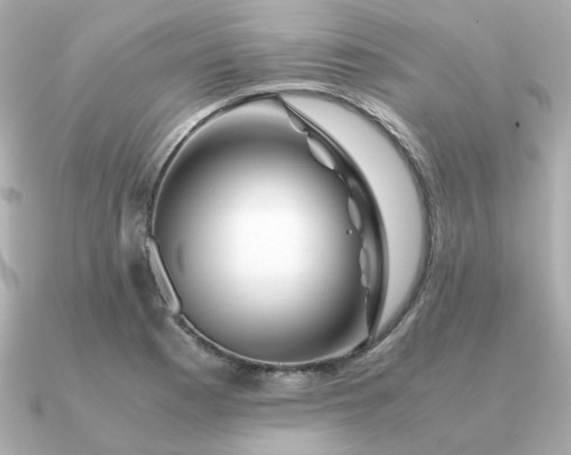 X0000090881177200708101339