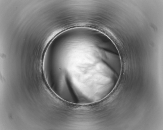 X0000090881178200708101339