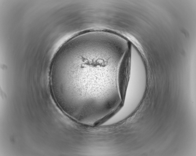 X0000090881183200708101339