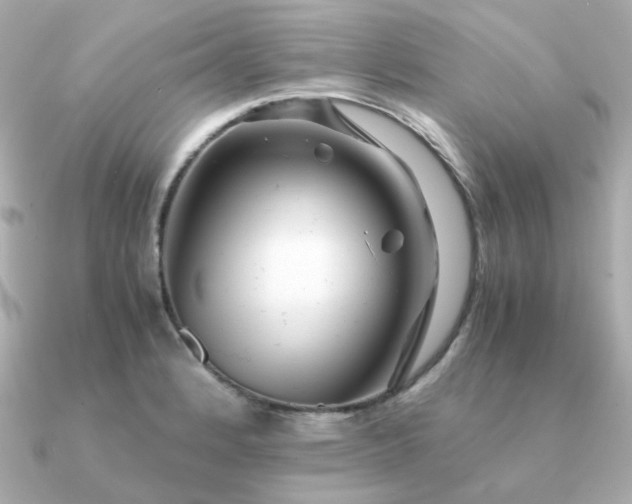 X0000090881184200708101339