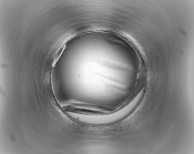 X0000090881185200708101339