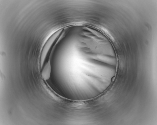 X0000090881186200708101339