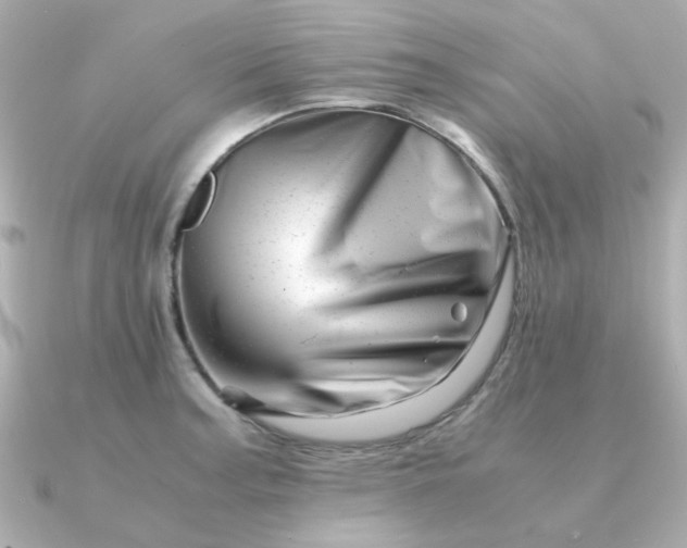 X0000090881187200708101339