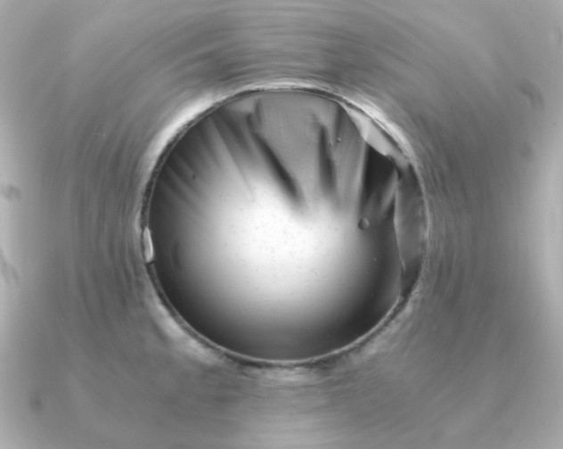 X0000090881189200708101339