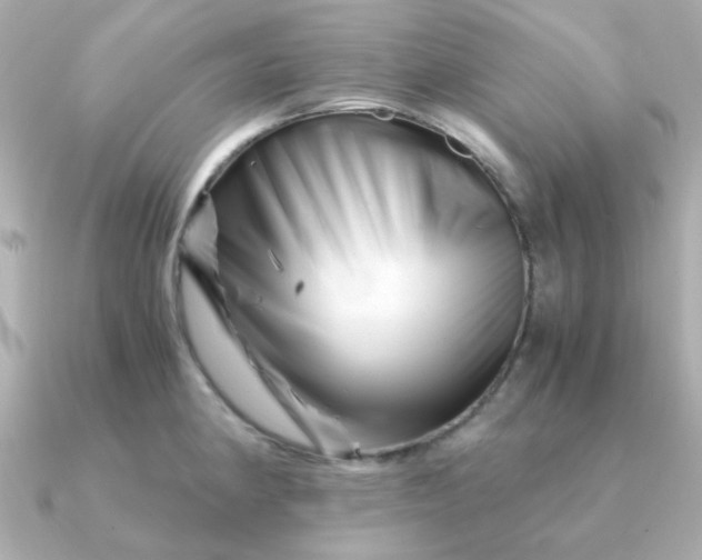 X0000090881190200708101339