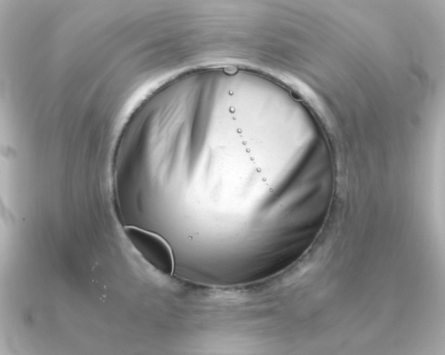 X0000090881191200708101339