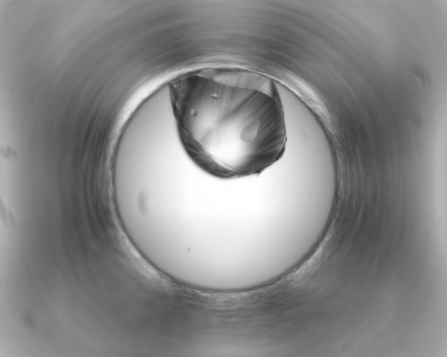 X0000090881192200708101339