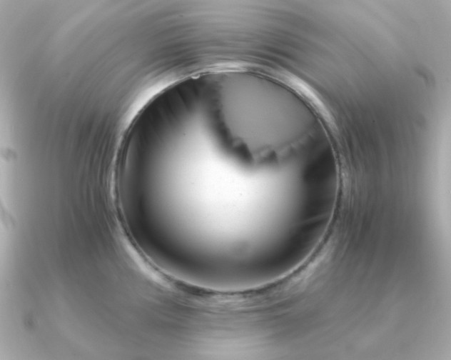 X0000090881194200708101339