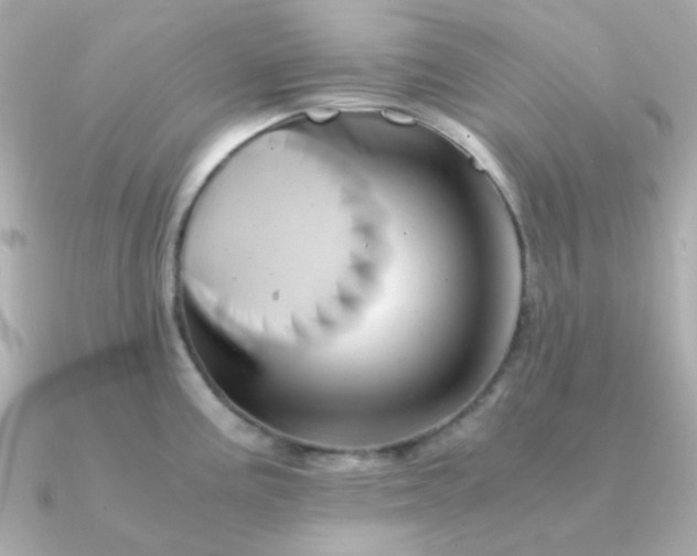 X0000090881195200708101339