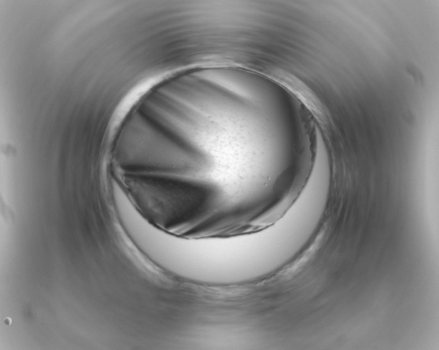 X0000090881196200708101339