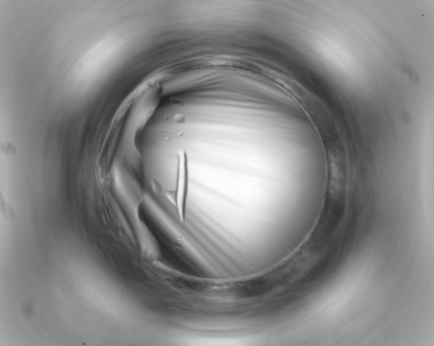 X0000090881198200708101339