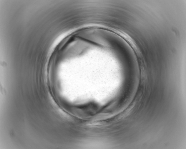 X0000090881199200708101339