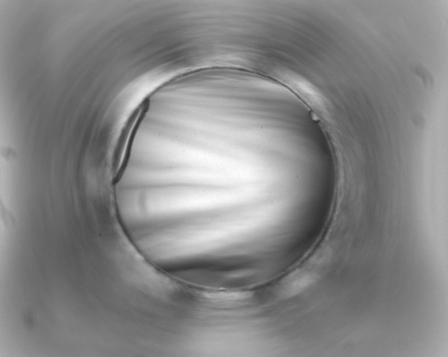 X0000090881200200708101339