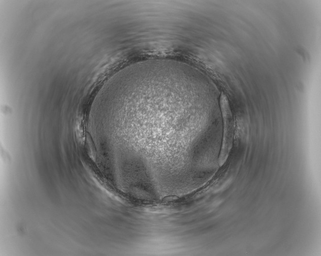 X0000090881202200708101338