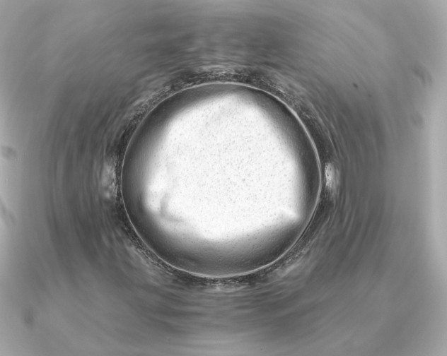 X0000090881203200708101338