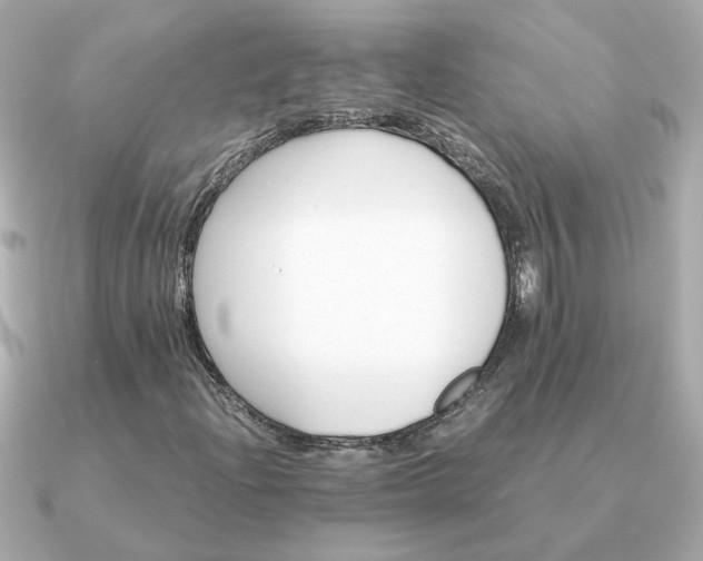 X0000090881204200708101338