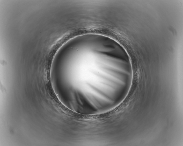 X0000090881205200708101338