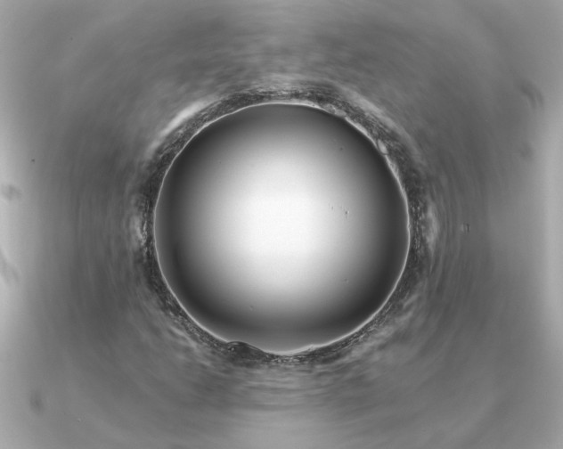 X0000090881206200708101338