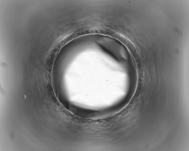 X0000090881207200708101338