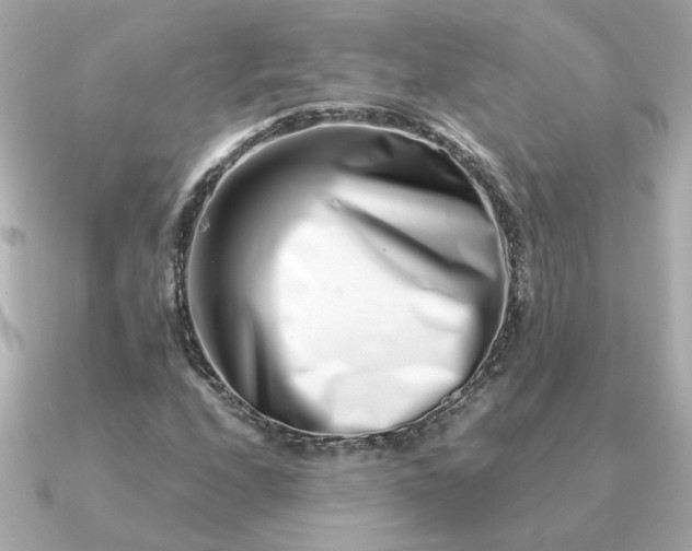 X0000090881208200708101338