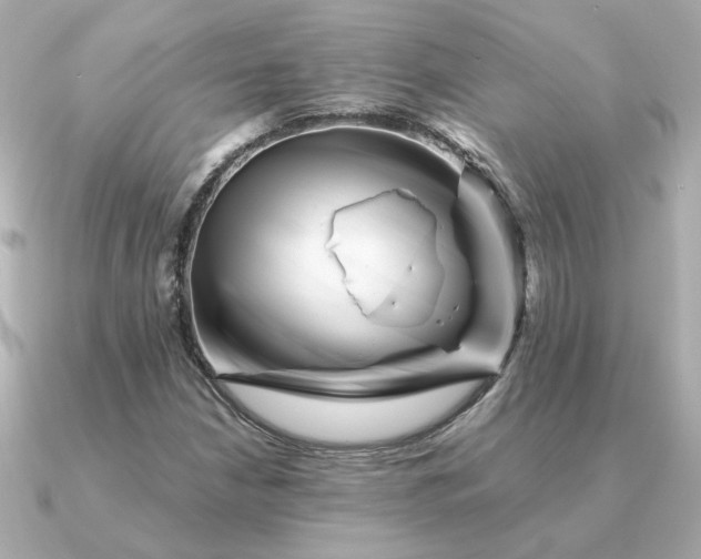 X0000090881210200708101338