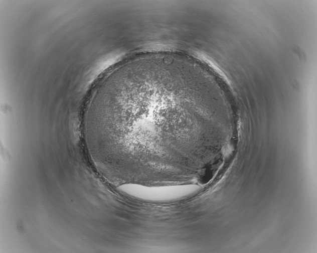 X0000090881213200708101338