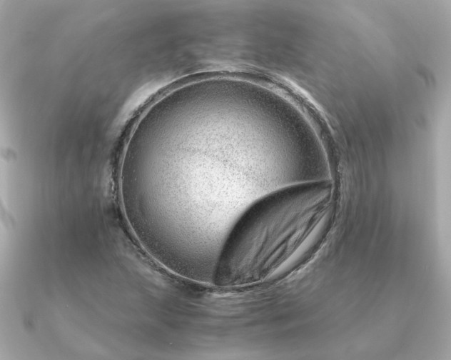 X0000090881215200708101338