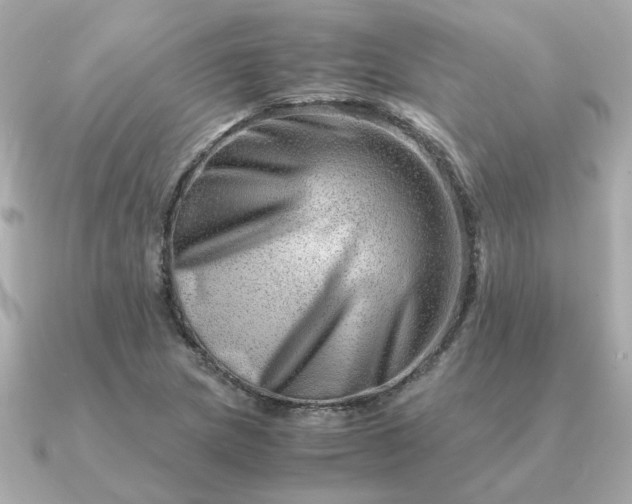 X0000090881217200708101338