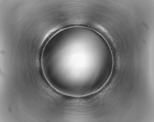 X0000090881218200708101338