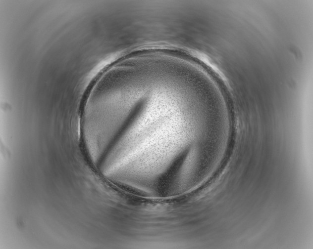 X0000090881221200708101339