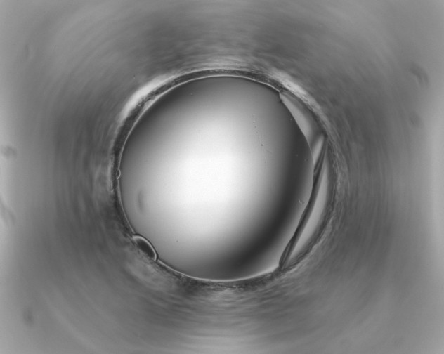 X0000090881222200708101339