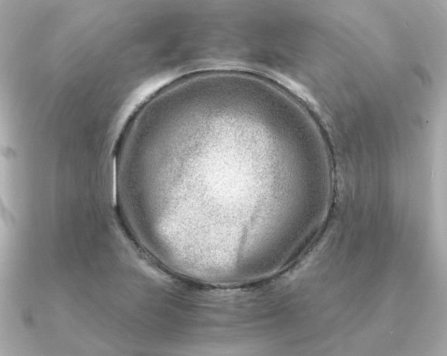 X0000090881223200708101339