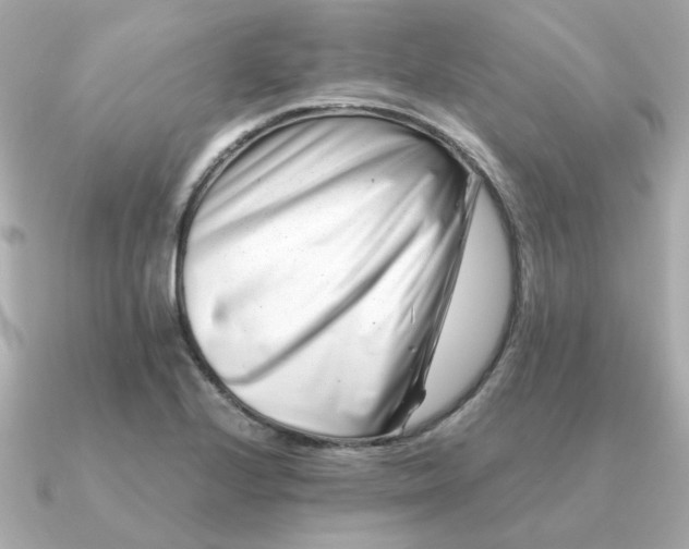 X0000090881224200708101339